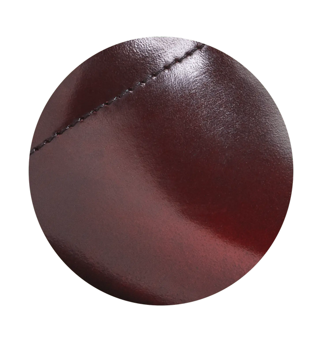 Sanita Pro. Cabrio Women's Brown Chef Clog - zoom view